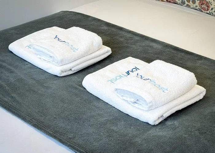 New Alegria In Town 2