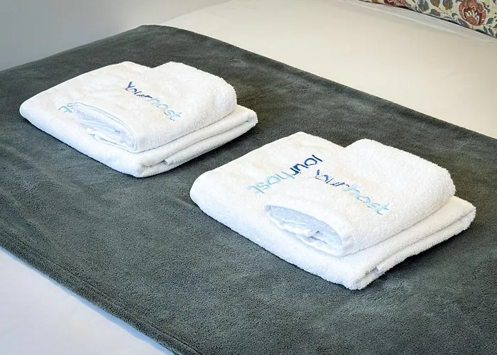 New Alegria In Town 2