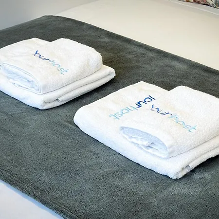 New Alegria In Town 2