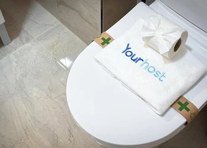 New Alegria In Town 2